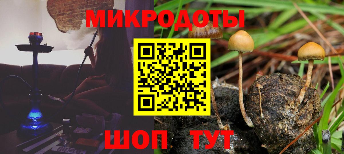 Псилоцибиновые грибы Cubensis  Вход с VPN  Владикавказ  Псилоцибиновые грибы Psilocybine cubensis 
