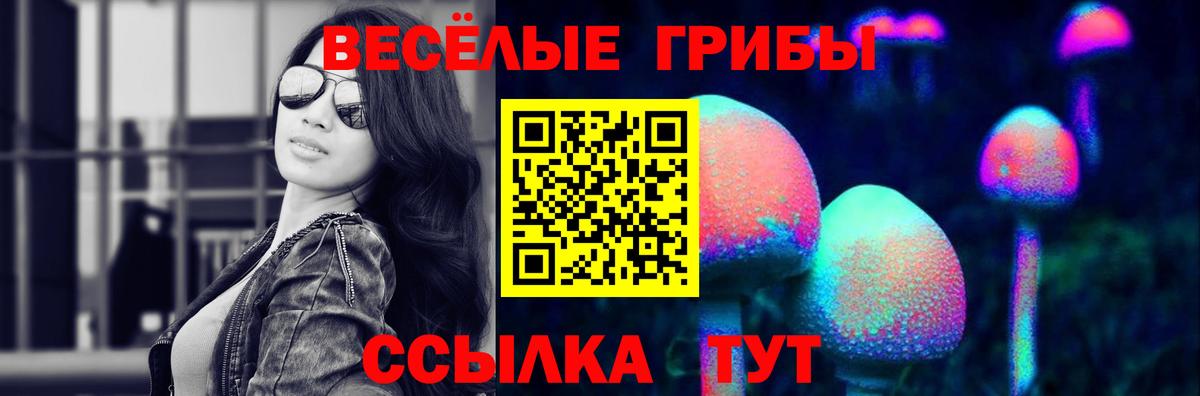 Псилоцибиновые грибы прущие грибы Владикавказ